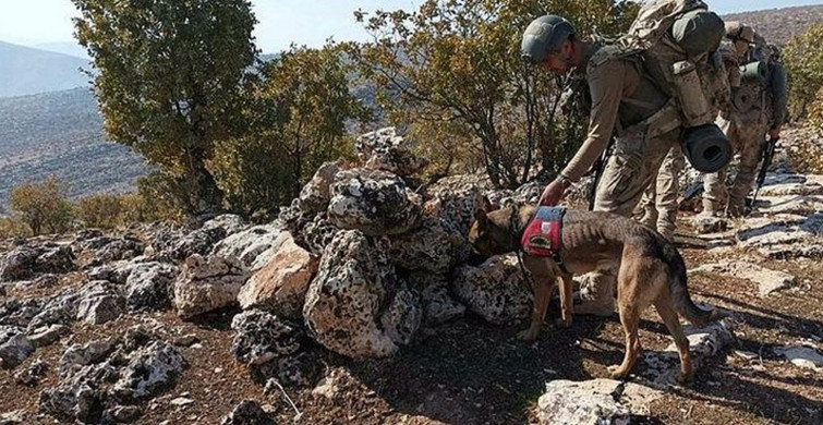 Tunceli'de Binlerce Personelin Katıldığı Eren Kış-6 Operasyonu Başladı