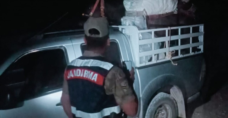 Tunceli'de Endemik Dağ Sarımsağı Toplayan Şüpheliye Cezası