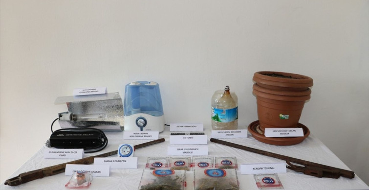 Tunceli'de Kenevir Yetiştiren Şüpheli Yakalandı