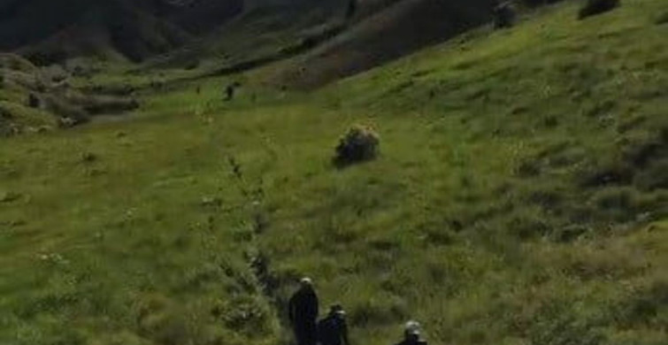 Tunceli'de mantar toplarken ayı saldırısına uğrayan 3 kişi yaralandı