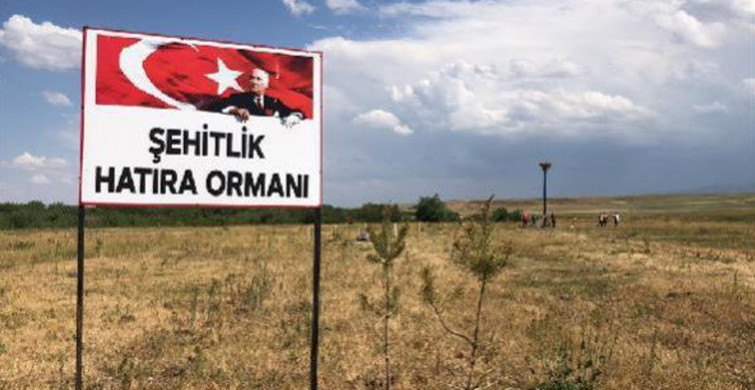 Turistin Sözlerine Üzüldü Köyüne Orman Kurdu