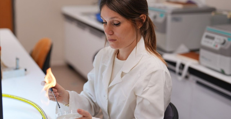 Türk Bilim İnsanları Yapay Zeka ile Kıyı Korozyonunu Belirleyecek