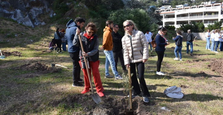Türk ve Alman Kadınlardan Barış İçin Zeytin Fidanı