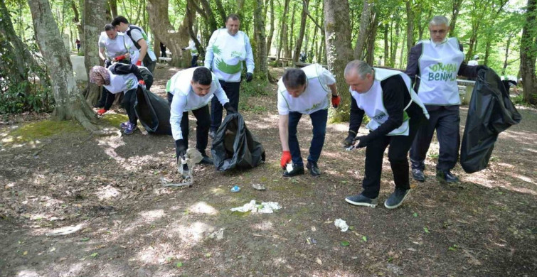 Türkeli'de Orman Bilinçlendirme Etkinliği Düzenlendi