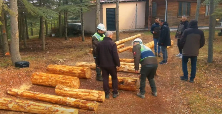 Türkiye Ormancılık Yarışmaları Elazığ'da Heyecanla Gerçekleşti