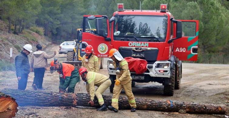 Türkiye Ormancılık Yarışmaları: Zorlu Etaplar ve Heyecan Dolu Anlar