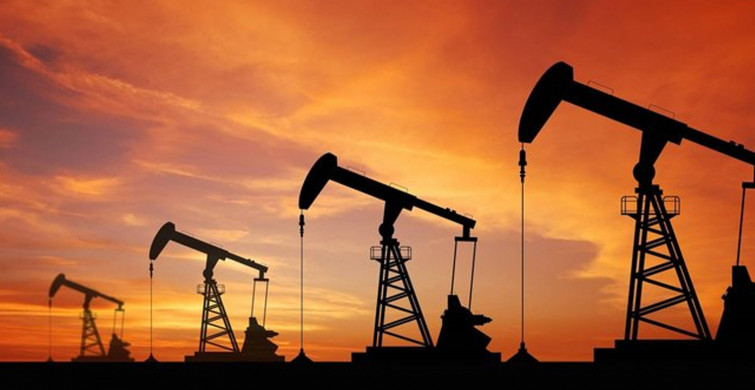 Türkiye Petrolleri Anonim Ortaklığının 3 ildeki ruhsat süresi uzatıldı