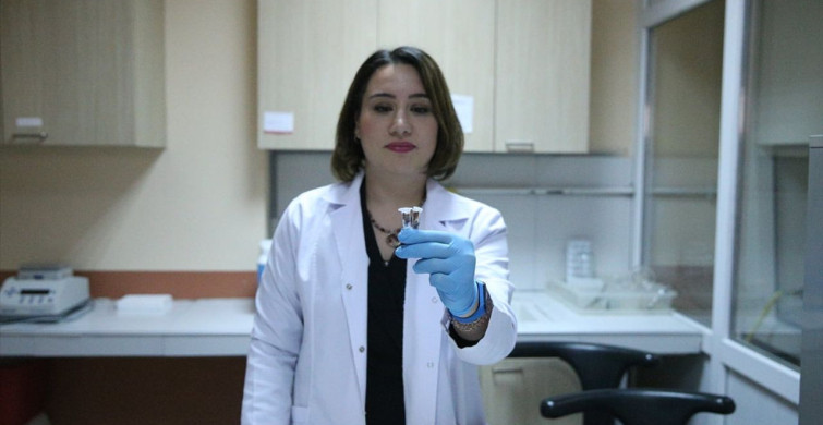 Türkiye'de 3 Yeni Kör Köstebek Türü Keşfedildi