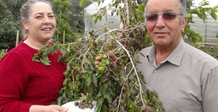 Türkiye'de İlk Defa Yetiştirildi