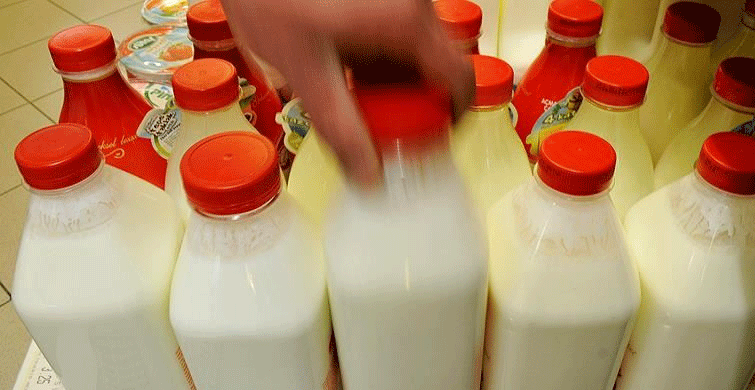Türkiye'nin Ayranı 12 Ülkenin Sofrasını Tatlandırıyor