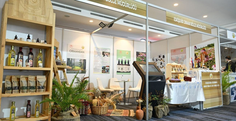 Türkiye'nin Flora Zenginliği Avrupa ile Yarışıyor