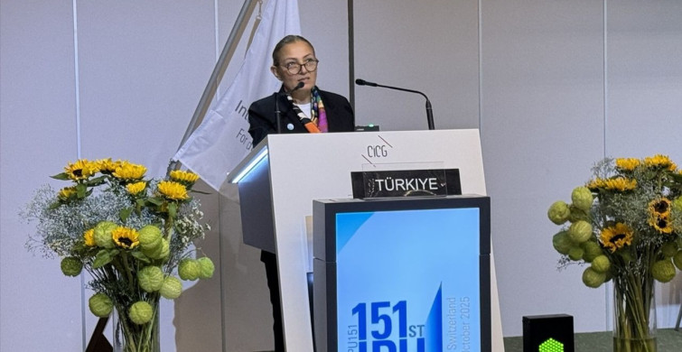 Türkiye'nin Gazze'deki Sorumlulukları