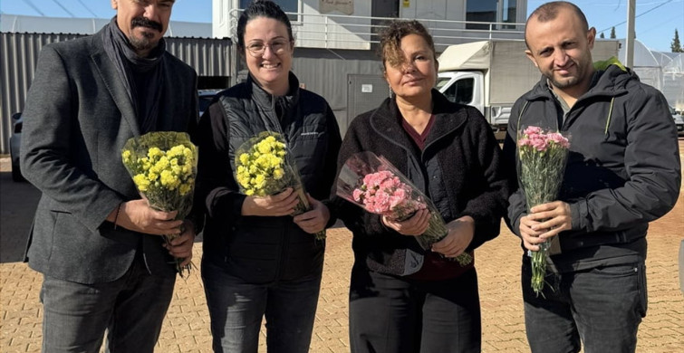 Türkiye'nin Yerli Karanfil Çeşitleri Dünyaya Açılıyor