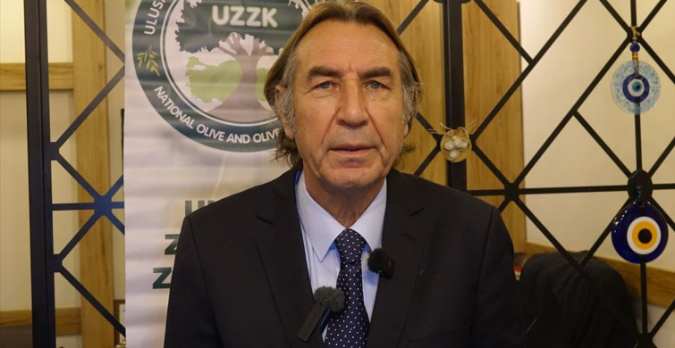 Türkiye'nin Zeytin Rekoltesi 2,45 Milyon Ton Olarak Bekleniyor