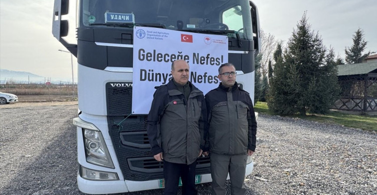 Türkmenistan'a 50 Bin Fidan Desteği Gönderildi