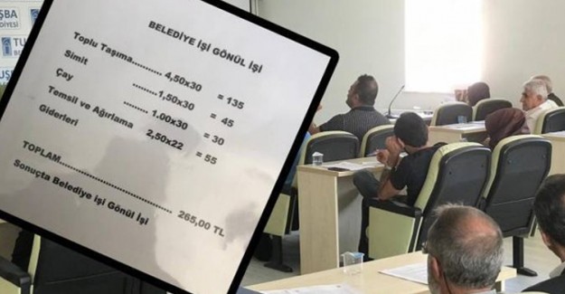 Tuşba Belediye Başkan Yardımcısının Maaşı 265 Lira Olarak Belirlendi