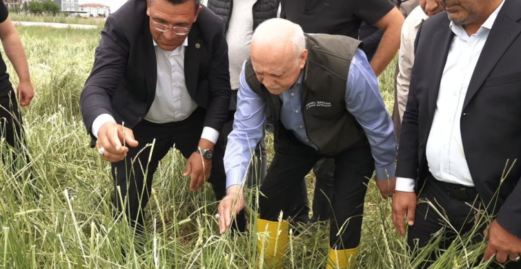 TZOB genel başkanı bayraktar: kahramankazan’ın köylerinde 14 bin dekarın üzerinde hasar var