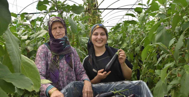 Üç Kuşak Kadın Seracılıkta: Üretim ve Aile Ekonomisine Katkı
