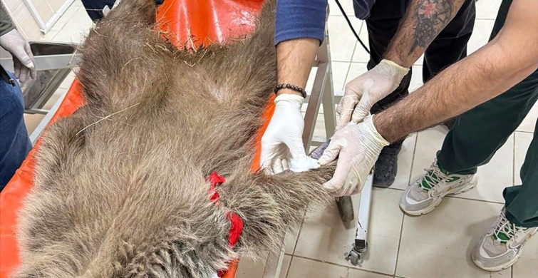 Umut'a Ateş Edenin İzini Mermi Çekirdeğiyle Sürüyorlar