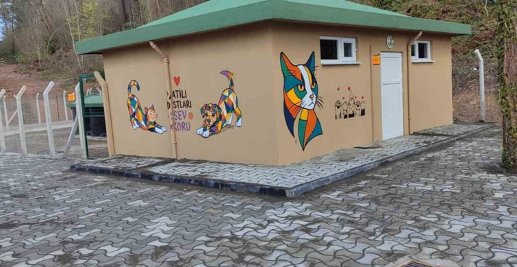 Ünye'de Sahipsiz Hayvanlar İçin Modern Barınak Tamamlanıyor