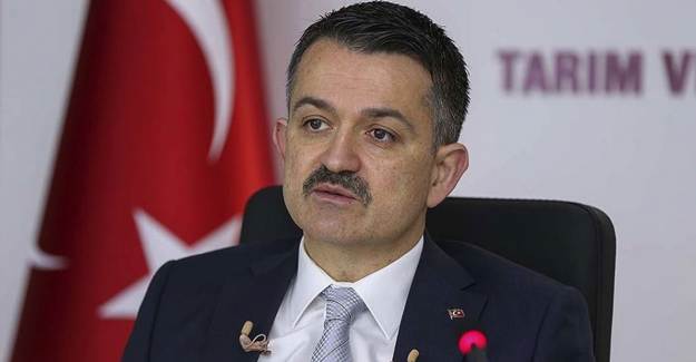 Üreticilere 886 Milyon Liralık Destek Ödemesi Bugün Başlıyor
