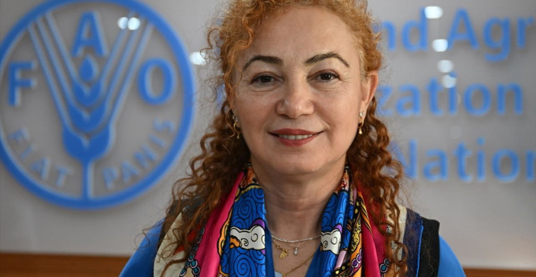 Üretimle Güçlenen Kadınlar: FAO'nun Girişimcilik Çabaları