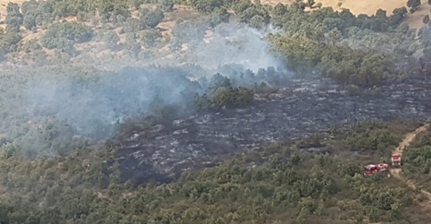 Uşak'ta Anız Kaynaklı Orman Yangını