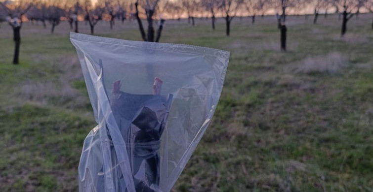 Uşak'ta Badem Üreticilerine Don Uyarısı