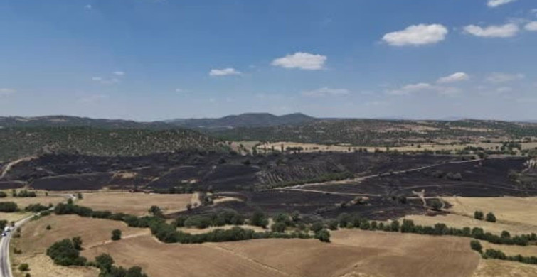 Uşak'ta tarım arazisinde yangın: 300 dekar ekili alan zarar gördü