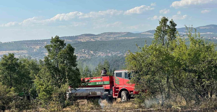 Uşak'taki orman yangını kontrol altına alındı