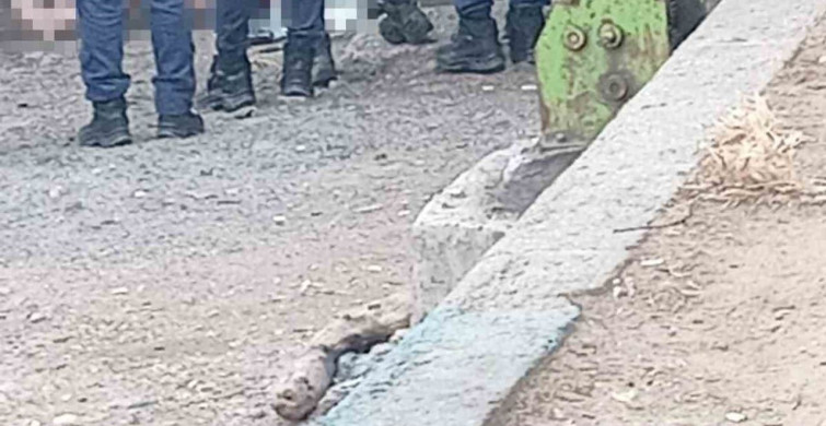 Üsküdar’da denizde ceset bulundu