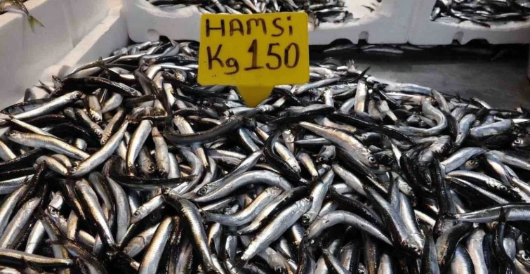 Bir buçuk aydır çıkmayan yerli hamsi yeniden tezgahlarda