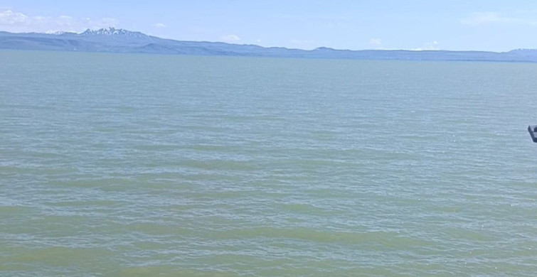 Van Gölü kıyılarında yüzme yasağı uygulandı