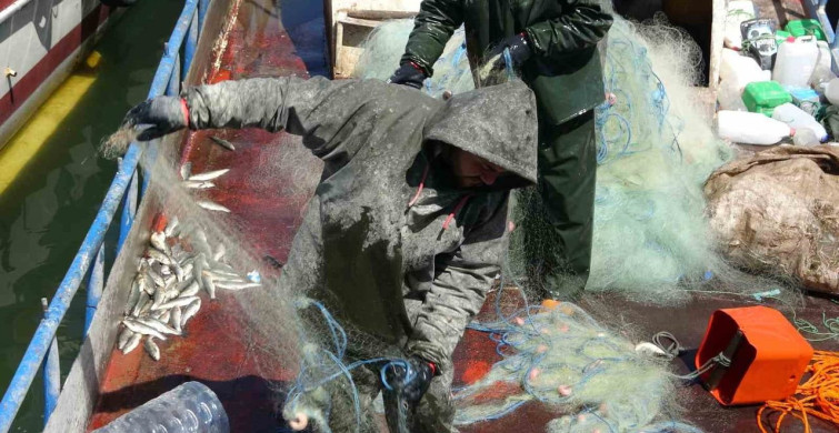 Van Gölü'nde İnci Kefali İçin Av Yasağı Başladı