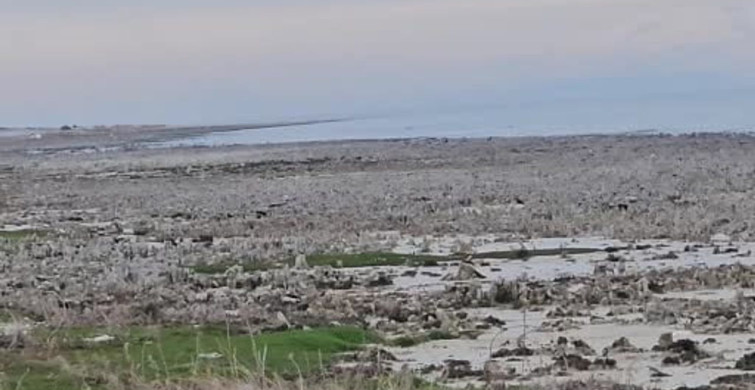Van Gölü'nde Kuraklık Sorunu ve Mikrobiyalitlerin Ortaya Çıkışı