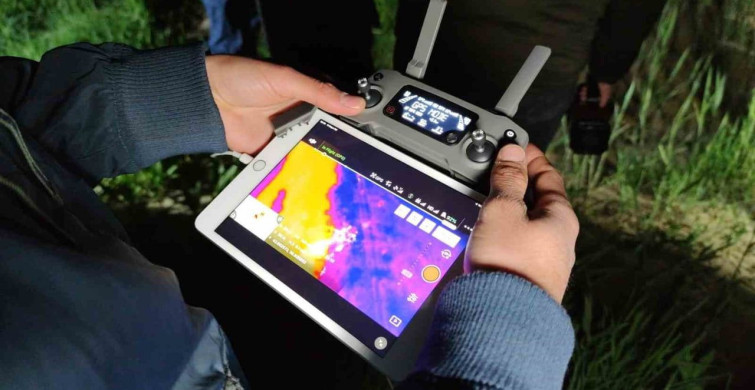 Van Gölü'ndeki İnci Kefalinin Koruma Altına Alınması