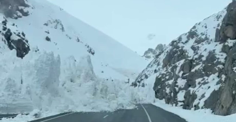 Van-Hakkari Karayoluna Çığ Düşmesi: Çok Sayıda Araç Mahsur Kaldı