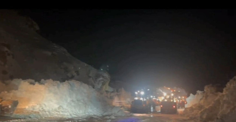 Van-Hakkari Yolu Yeniden Trafiğe Açıldı