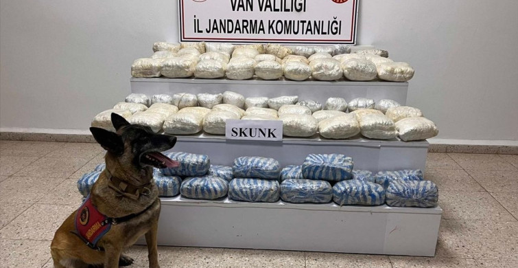 Van'da 47 Kilogram Skunk Operasyonu