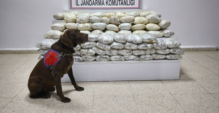 Van'da 60 Kilogram Uyuşturucu Operasyonu