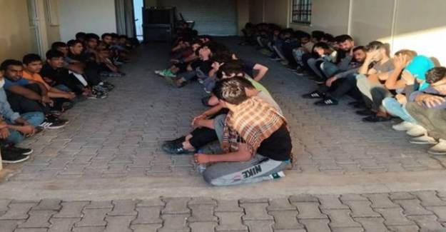 Van'da 65 Düzensiz Göçmen Bulundu