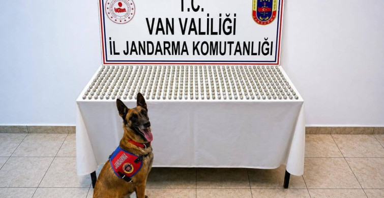 Van'da 8 İranlı Uyuşturucu Ticareti Yaparken Yakalandı