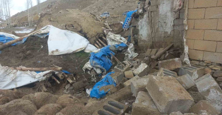 Van'da Ahır Çöktü: 23 Küçükbaş Hayvan Telef Oldu