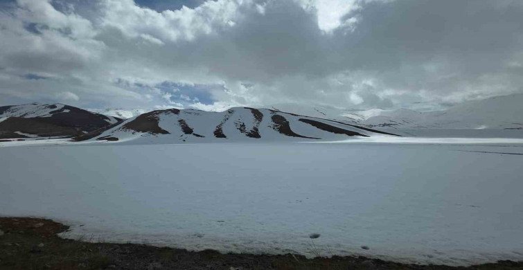 Van'da İki Mevsim: Kış ve Bahar Aynı Anda Yaşanıyor
