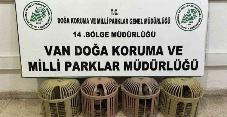 Van'da Kaçak Avcılığa Ağır Ceza Uygulandı