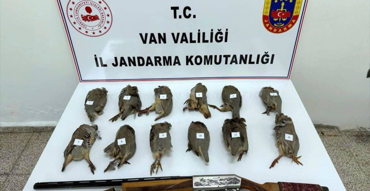 Van'da Kaçak Avcıya Büyük Ceza