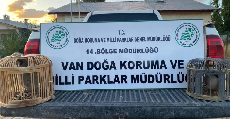 Van'da Kaçak Keklik Avına Ceza