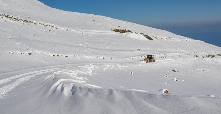 Van'da Karla Mücadele Çalışmaları Devam Ediyor