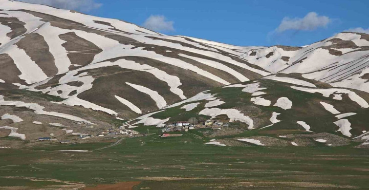 Van'da Kış ve Bahar Bir Arada: Doğanın Renk Cümbüşü