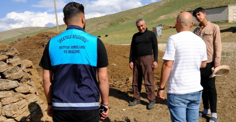 Van'da kuduz vakası sonrası karantina önlemleri alındı